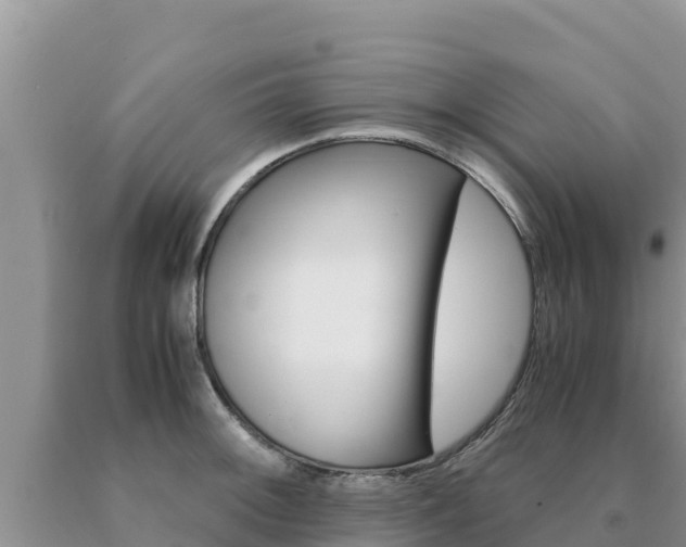 X0000091081092200708061040