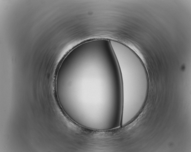 X0000091081093200708061040
