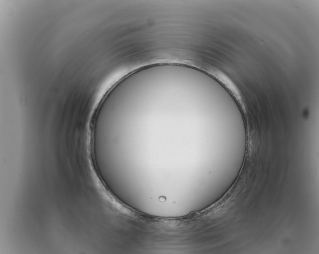 X0000091081096200708061040