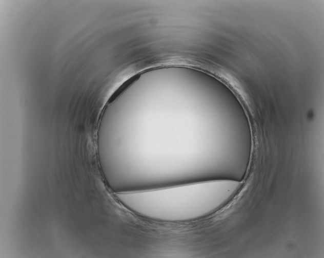 X0000091081097200708061040
