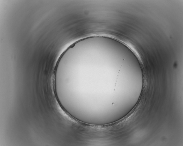 X0000091081100200708061040