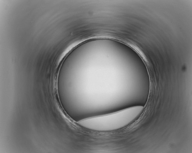 X0000091081101200708061040