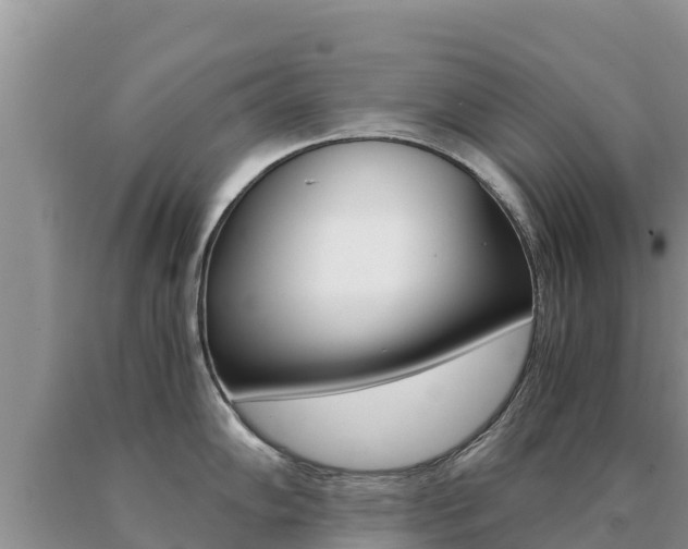 X0000091081102200708061040
