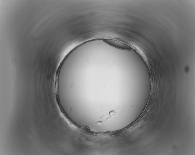 X0000091081103200708061040