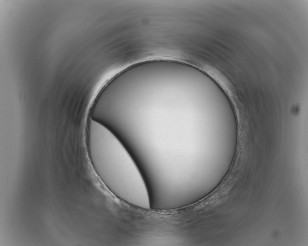 X0000091081104200708061040