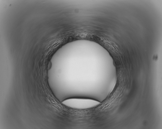 X0000091081105200708061039