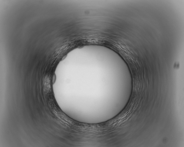 X0000091081106200708061039