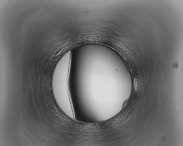 X0000091081107200708061039