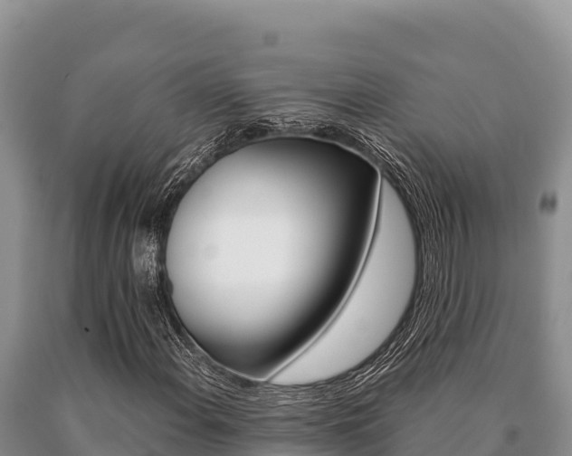 X0000091081108200708061039