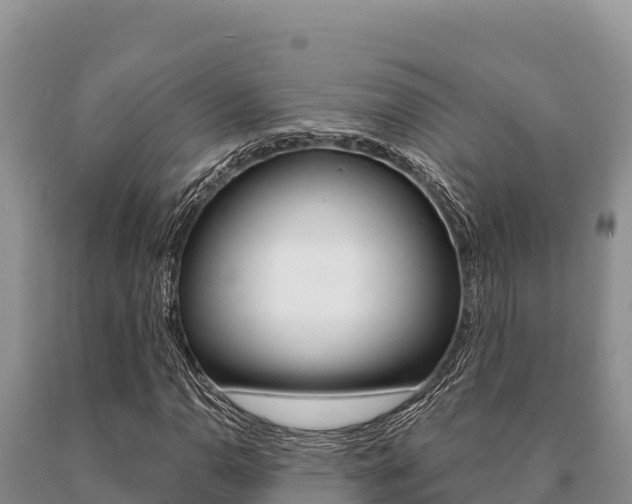 X0000091081110200708061039
