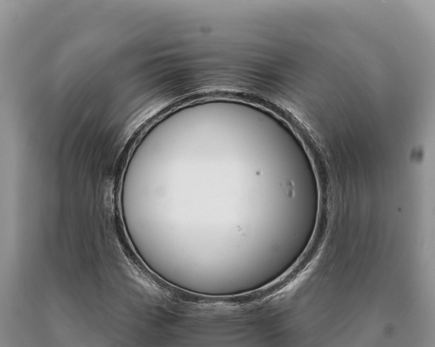 X0000091081113200708061039