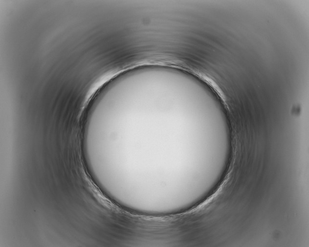 X0000091081114200708061039