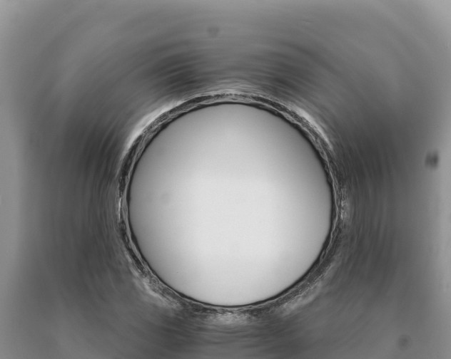 X0000091081117200708061039