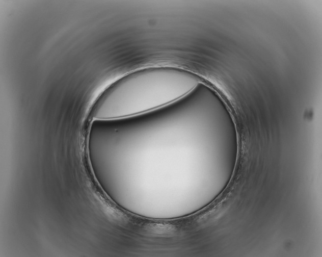 X0000091081119200708061039