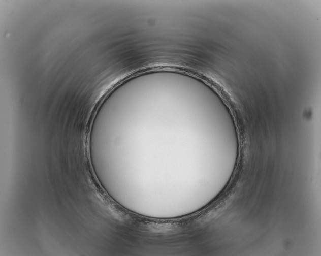 X0000091081121200708061039