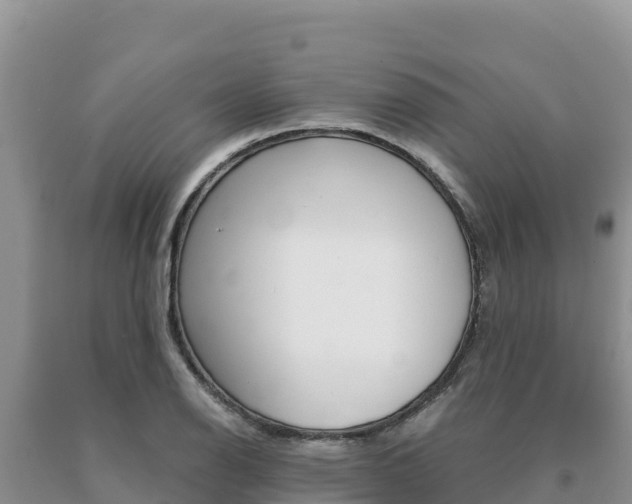 X0000091081126200708061039