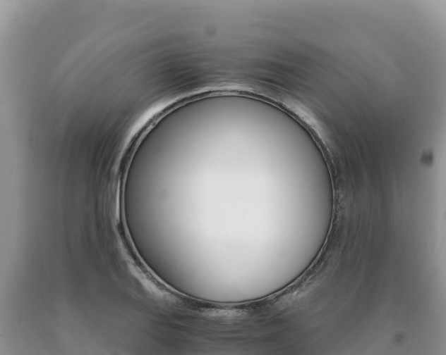 X0000091081127200708061039