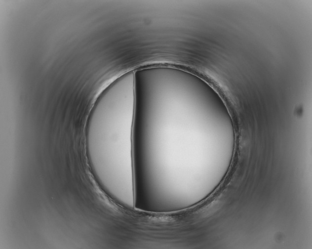 X0000091081129200708061039