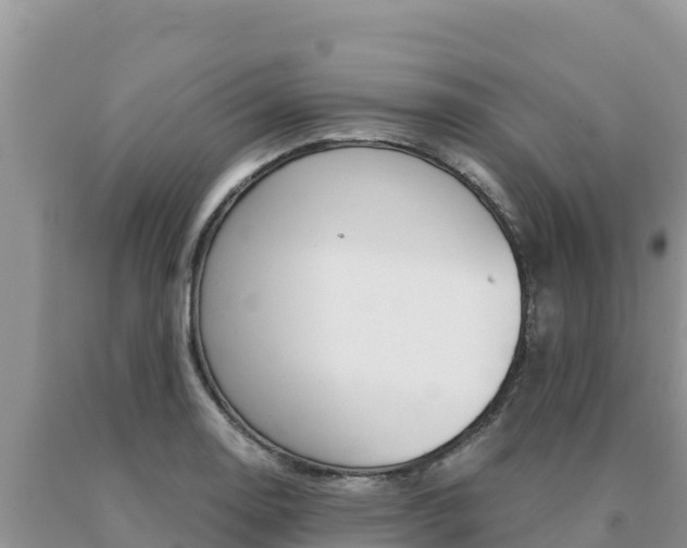 X0000091081130200708061039