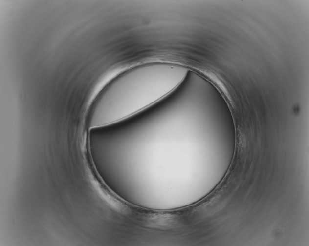 X0000091081131200708061039