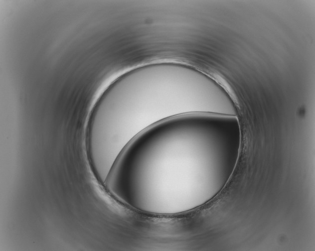 X0000091081132200708061039