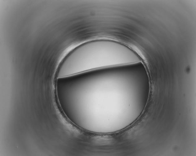 X0000091081133200708061039
