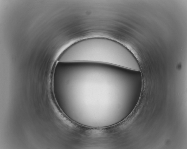 X0000091081134200708061039