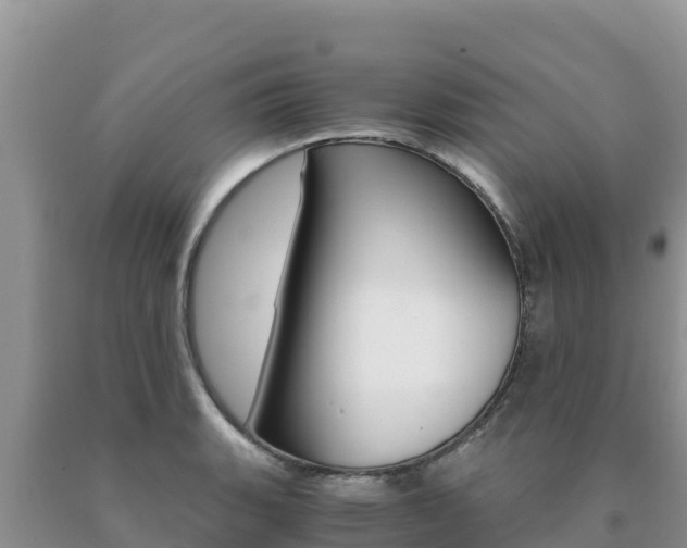 X0000091081135200708061039