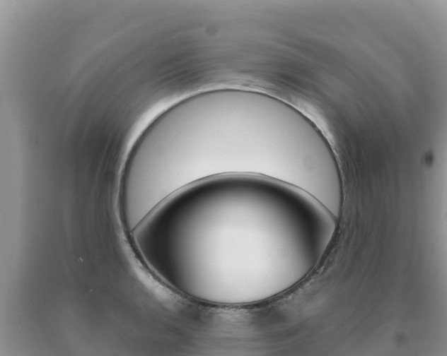 X0000091081136200708061039