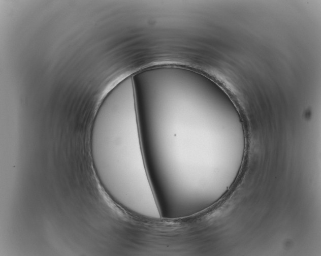 X0000091081137200708061039