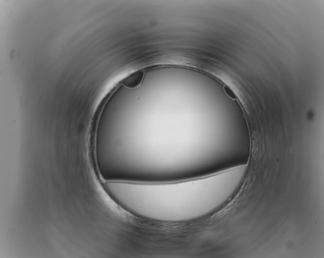 X0000091081139200708061039