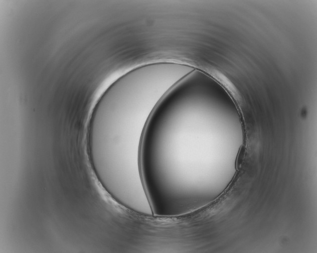 X0000091081144200708061040
