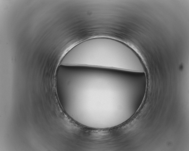 X0000091081145200708061040
