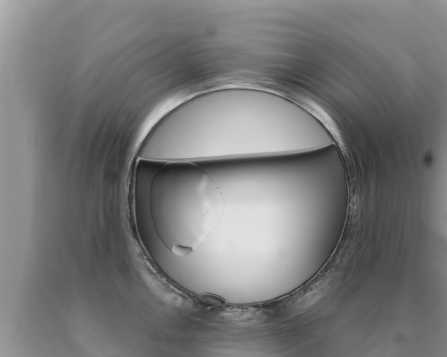 X0000091081146200708061040