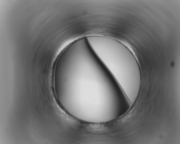 X0000091081147200708061040