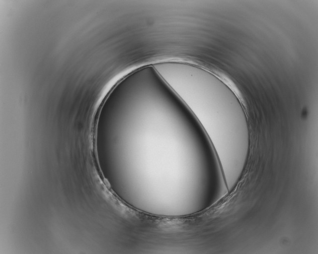 X0000091081148200708061040