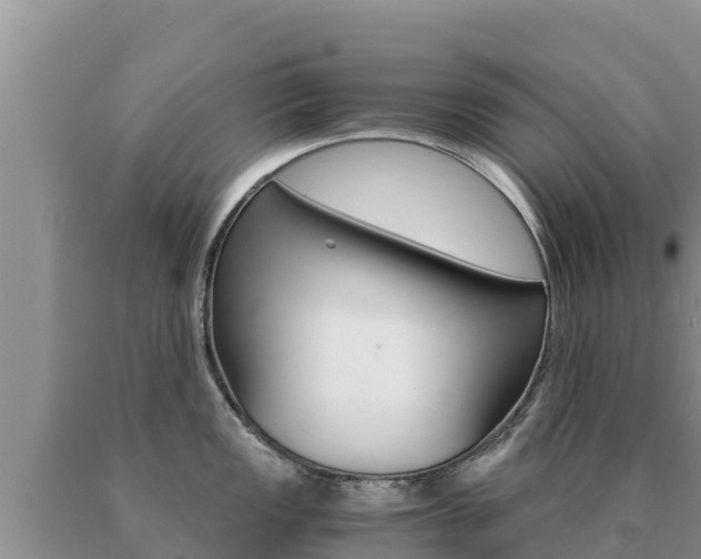 X0000091081149200708061040