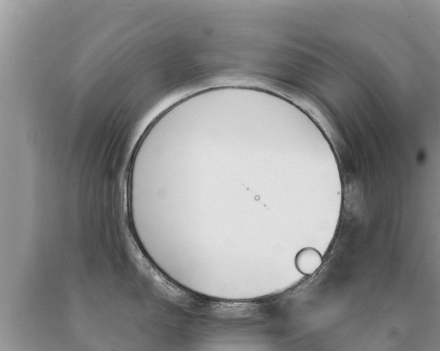 X0000091081150200708061040