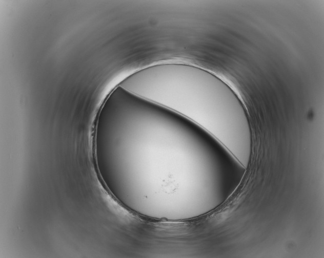 X0000091081151200708061040