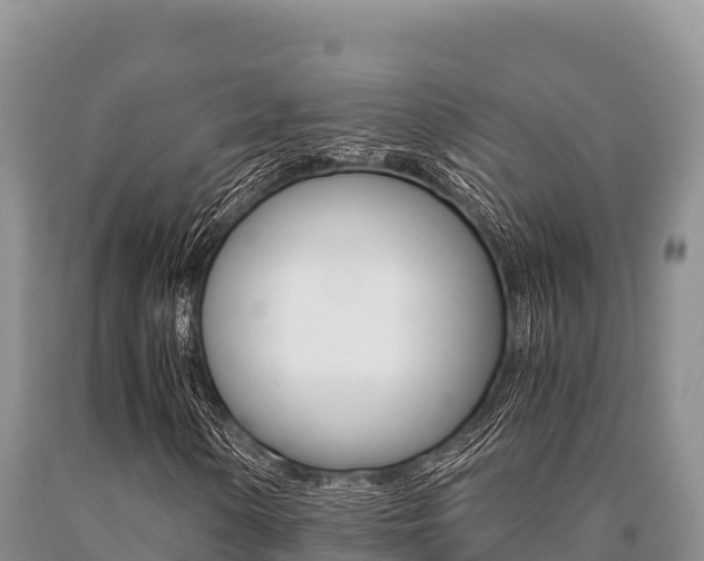 X0000091081154200708061039