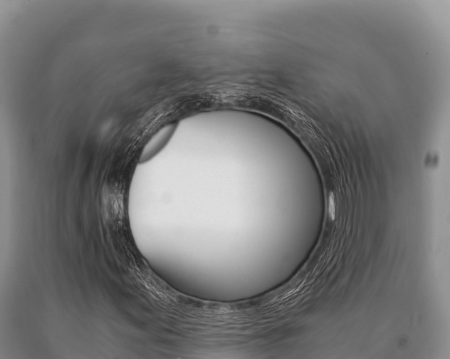 X0000091081155200708061039