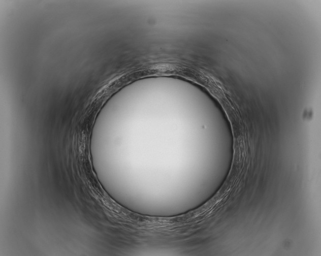 X0000091081158200708061039