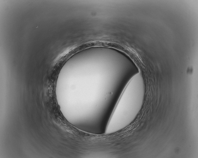 X0000091081159200708061039