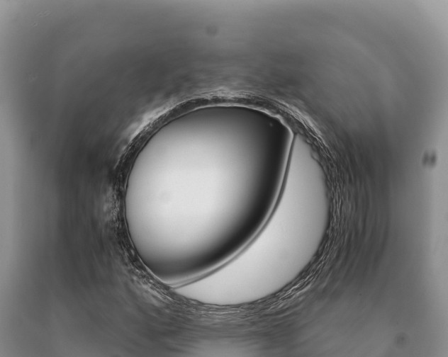 X0000091081160200708061039
