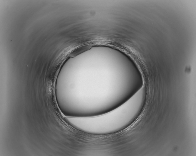 X0000091081161200708061039
