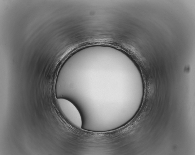 X0000091081162200708061039