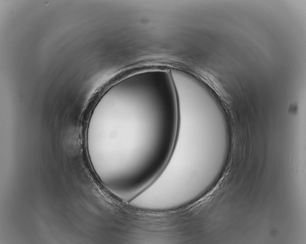 X0000091081164200708061039