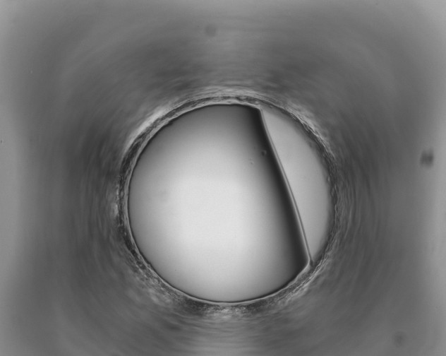 X0000091081165200708061039