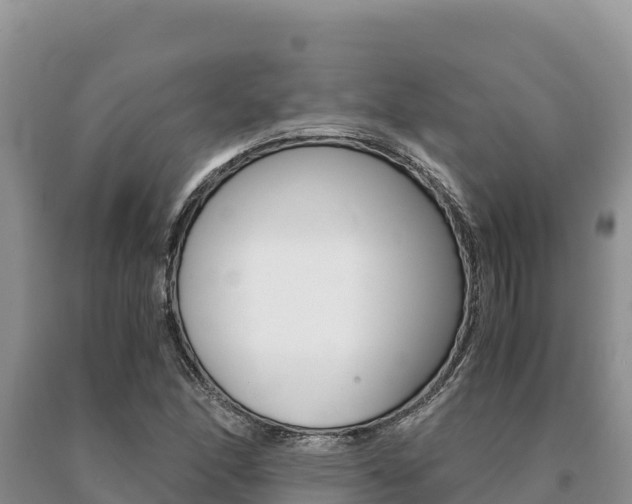 X0000091081166200708061039