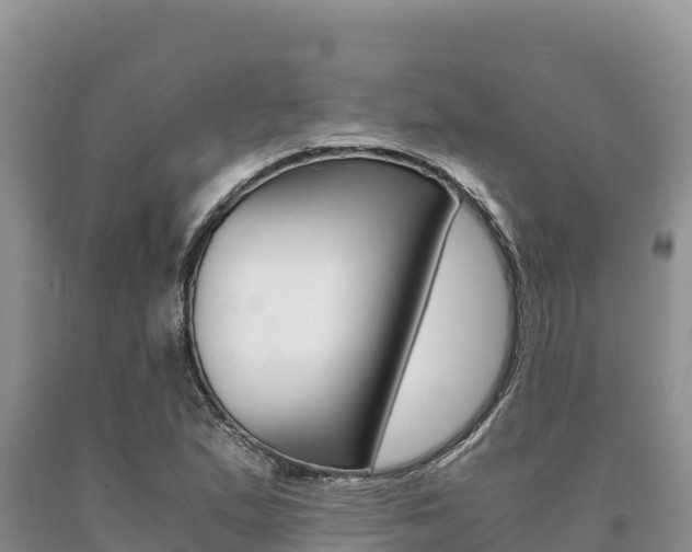 X0000091081167200708061039